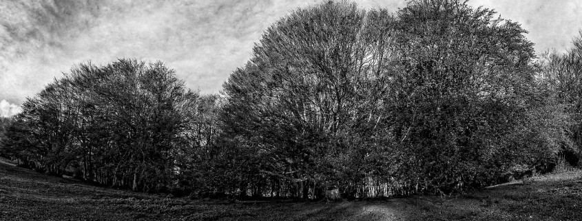 “Sfumature di Grigio” / Concorso fotografico per i Soci