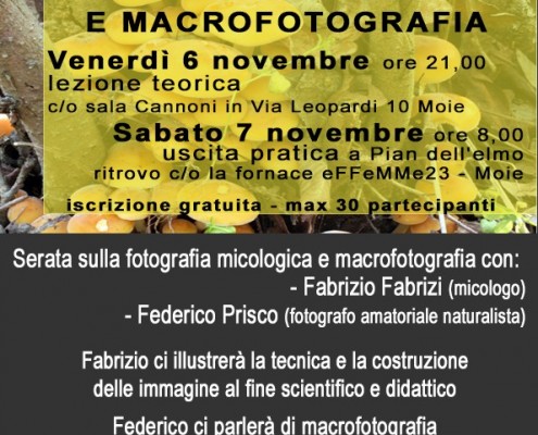 Fotografia Micologica // Macrofotografia