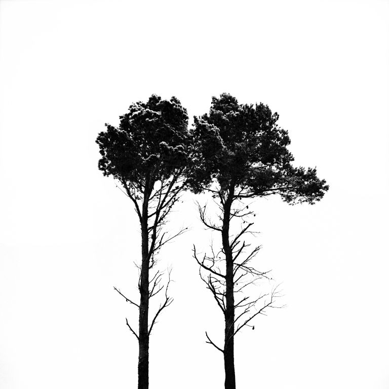 ARZIGOGOLI-1-768x768
