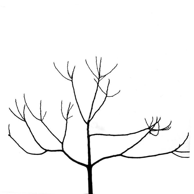 ARZIGOGOLI-2-768x768